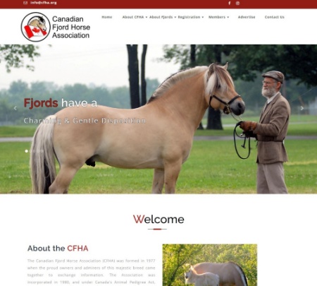 Canadian Fjord Horse Association
